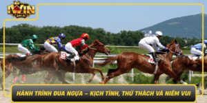 Hanh Trinh Dua Ngua Kich Tinh Thu Thach Va Niem Vui